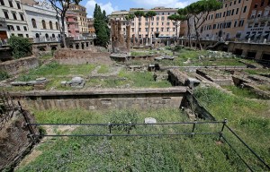 Erba alta e degrado negli scavi di Largo di Torre Argentina a Roma