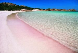 spiaggia-rosa