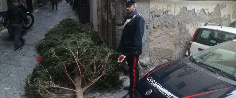 Napoli, la storia si ripete: rubato l’albero di Natale nella Galleria Umberto