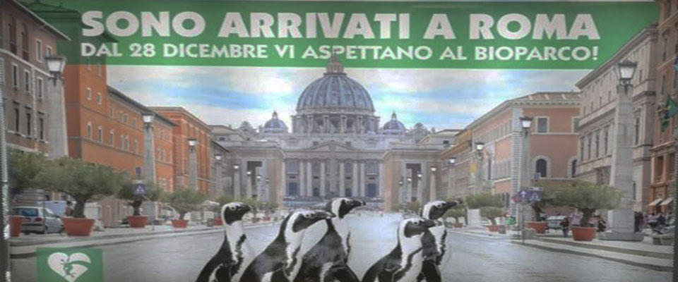 La Raggi fa arrabbiare anche i pinguini. Animalisti scatenati: “Traditrice!”