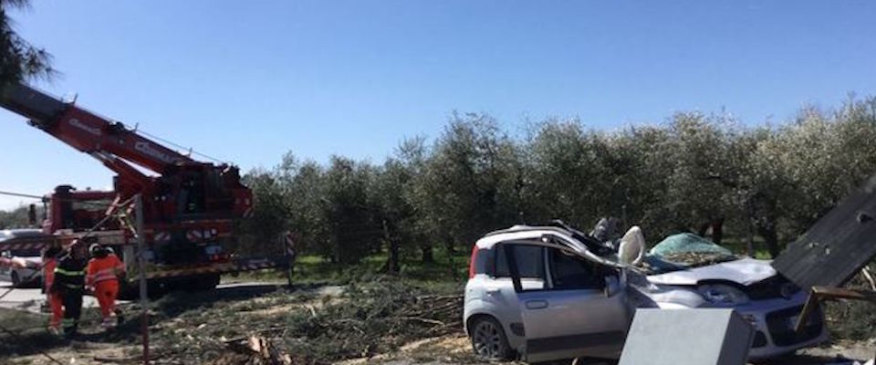 Roma, un albero si è schiantato a terra uccidendo un uomo di 45 anni