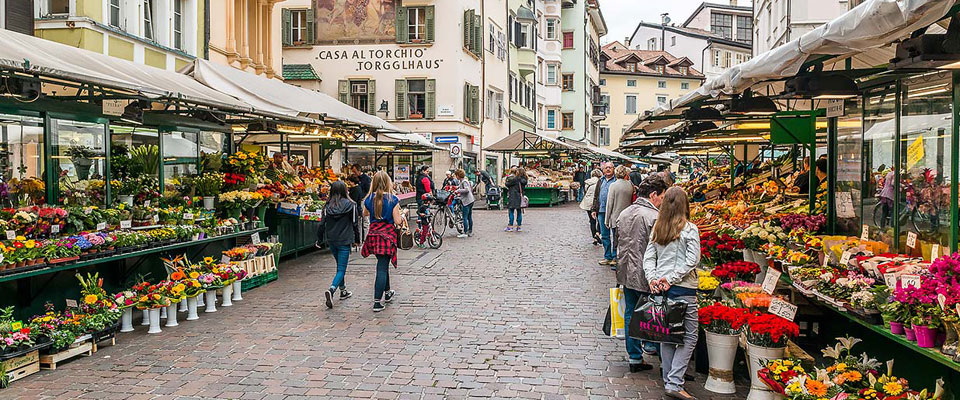 Bolzano, FdI: «Sulla scuola e sulla lingua italiana niente trappole. Lega e Svp sono avvertiti»