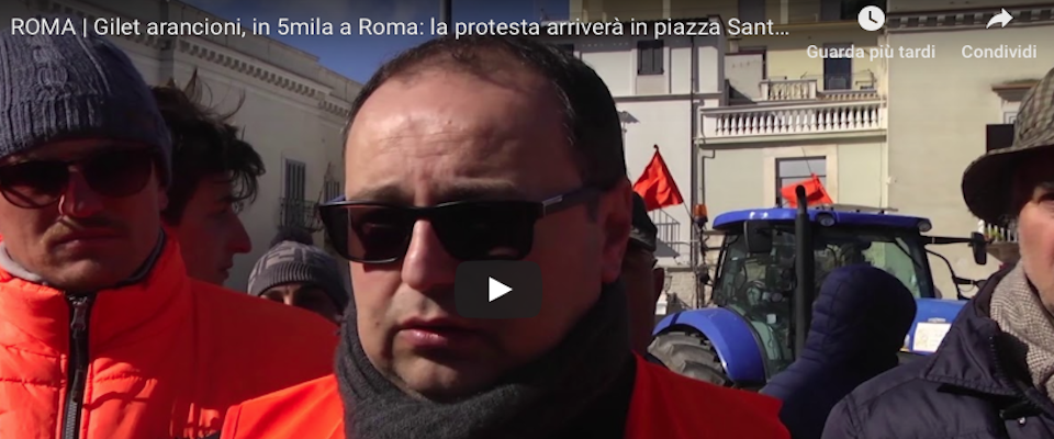 «Siamo in ginocchio»: i gilet arancioni portano la protesta degli olivicoltori a Roma (Video)