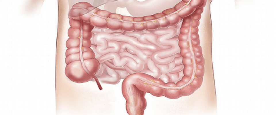 Intestino e benessere: dimmi che cosa mangi e ti dirò di che umore sei