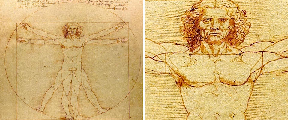 L’Uomo Vitruviano di Leonardo