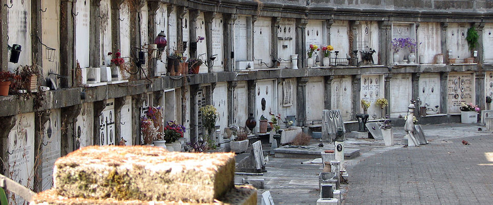 Roma, anche i cimiteri cadono a pezzi: erbacce e spazzatura ovunque. La rabbia dei cittadini