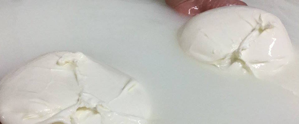 Mozzarella di bufala campana, un’eccellenza italiana trattata dai grandi chef a Tuttofood 2019