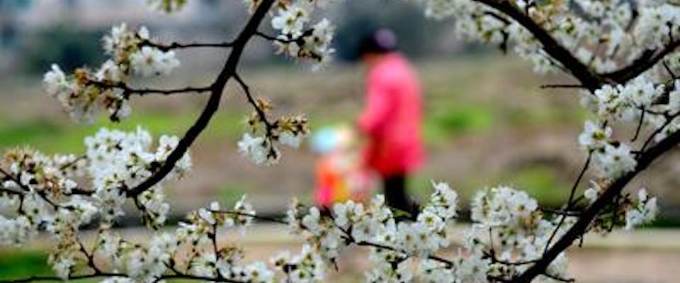 La primavera nemica dell’intestino. Poche regole per prevenire gonfiori e dolori