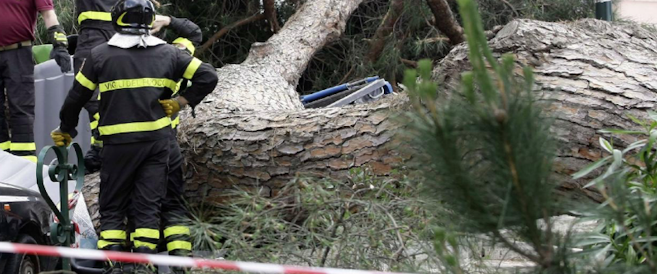 Roma, famiglia travolta da un albero lungo il Tevere: due bimbi feriti