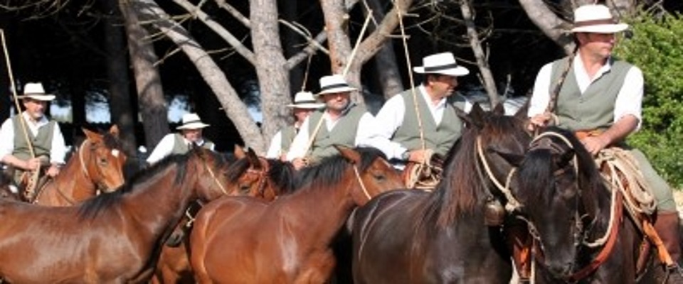 Turismo Lazio: 400 cavalli al più grande raduno equestre d’Italia