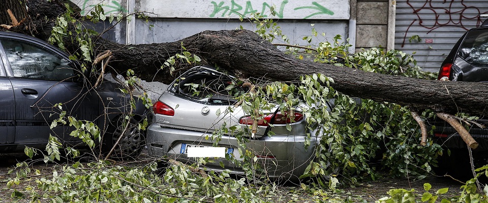 Firefighters remove an uprooted tree that crashed on parked cars in the Donna Olimpia avenue in Rome, Italy, 17 November 2019. Bad weather with strong winds caused damage in Rome, with emergency services having to respond to some 200 weather related incidents.
ANSA/FABIO FRUSTACI