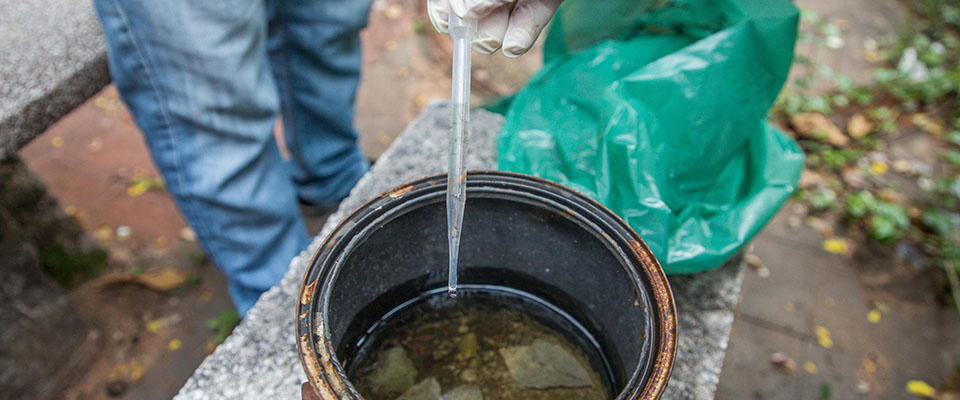 epa08127786 Officials and authorities of the National Malaria Eradication Service (Senepa) and the National Emergency Secretariat (Sen) take water samples during the ‘Paraguay Without Dengue’ campaign, in Asuncion, Paraguay, 14 January 2020. Authorities and residents conduct an environmental ‘minga’ in the city’s Worker’s Neighborhood to urge the population to clean their properties and eliminate the possible breeding grounds before progressive increase of cases of this disease.  EPA/Nathalia Aguilar