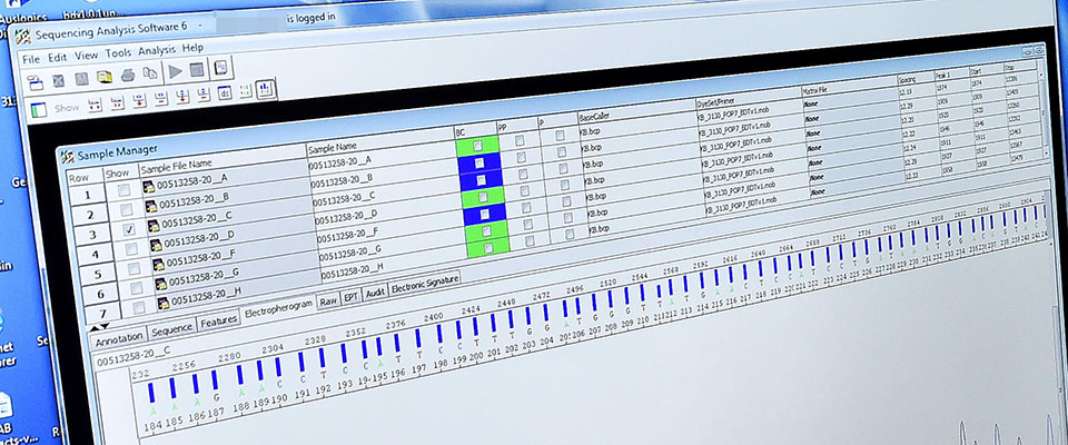 epa08179731 A computer screen shows a test for the Coronavirus at the Amedeo di Savoia hospital in Turin, Italy, 30 January 2020. The coronavirus, called 2019-nCoV, originating from Wuhan, China, has spread to all the 31 provinces of China as well as more than a dozen countries in the world.  EPA/ALESSANDRO DI MARCO