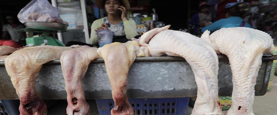 epa07332967 Cambodian women sell poultry at a market in Phnom Penh, Cambodia, 31 January 2019. The Ministry of Health has issued guidelines urging the public to increase awareness in food safety to prevent poisoning from homemade wine and food, including the prevention of bird flu, in the lead up to Chinese Lunar New Year.  EPA/MAK REMISSA