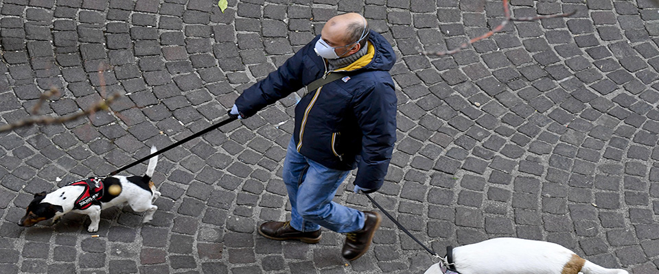 Un uomo porta a spasso i suoi cani a Napoli. “Gli animali  – come spiega in un vandemecum  l’Enpa (Ente nazionale protezione animali) non trasmettono il coronavirus – premette l’ong -. Va tutelato il ‘bene salute’, e questo ?hiaramente scritto nel decreto del Presidente del Consiglio dei Ministri, 11 marzo 2020
ANSA / CIRO  FUSCO