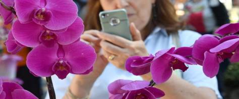 epidemia e fiori foto Ansa