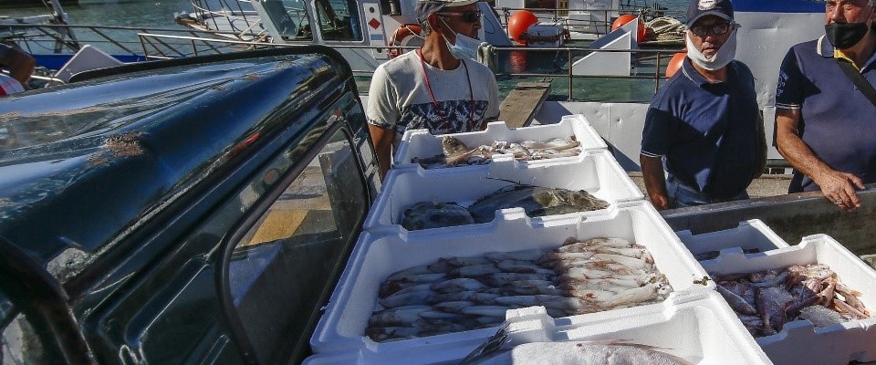 mediterraneo, pescatori ANSA