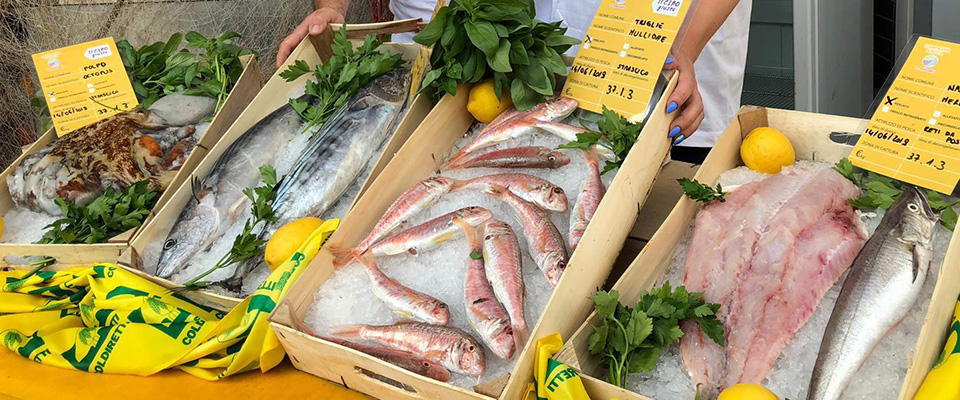 Contrordine: mangiare pesce non fa bene al cuore, a meno che non sia quello “grasso” e azzurro