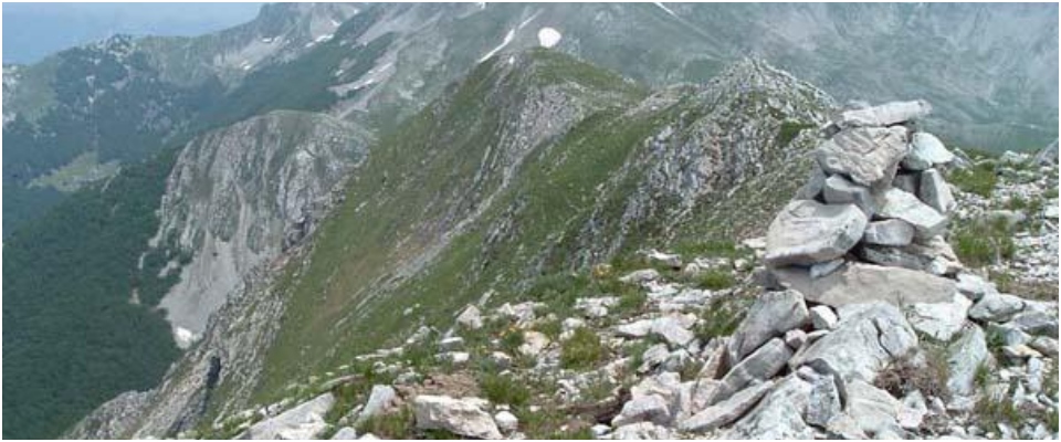 Mai così poca neve sulle Alpi negli ultimi sei secoli: l’arbusto di ginepro svela i segreti dell’emergenza climatica