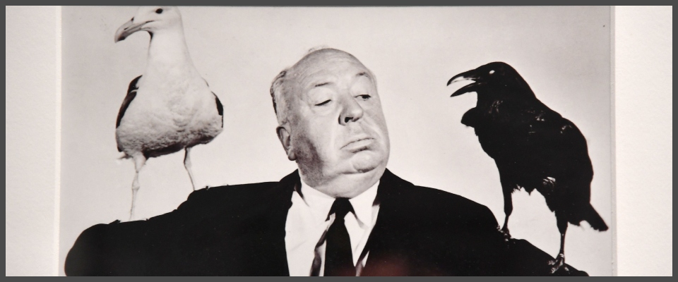 Hitchcock