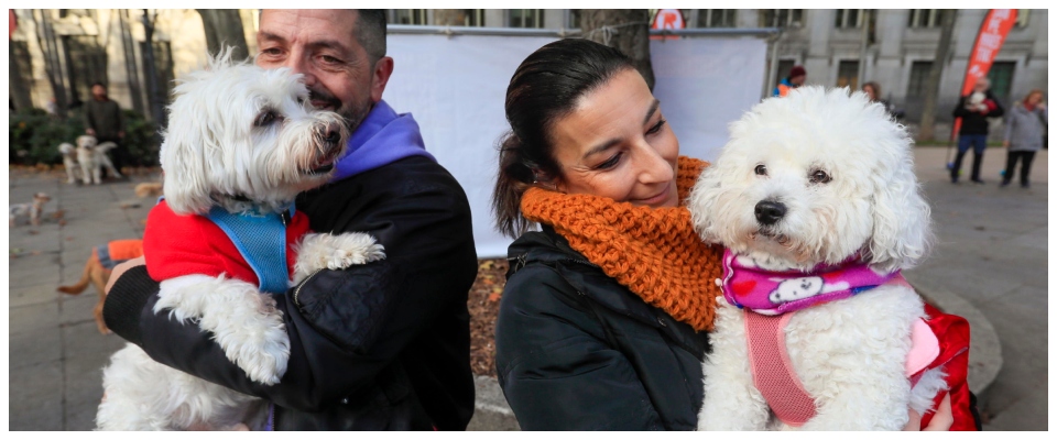 Stop al termine “razza” nella pubblica amministrazione. E gli animali? Imbarazzo nel Pd: rimedieremo