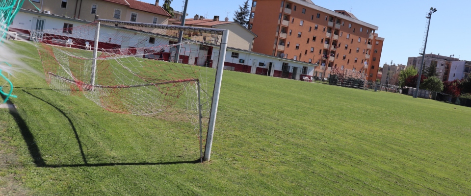 calcio arbitri