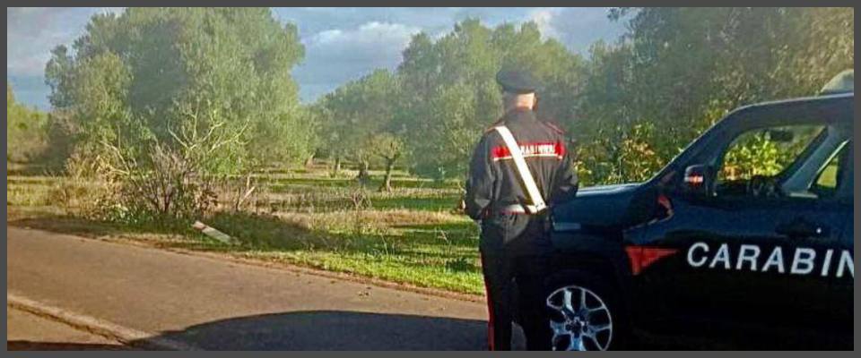 Violentata e uccisa in casa un anno fa: arrestato un romeno per il femminicidio della 70enne Marielle Soethe