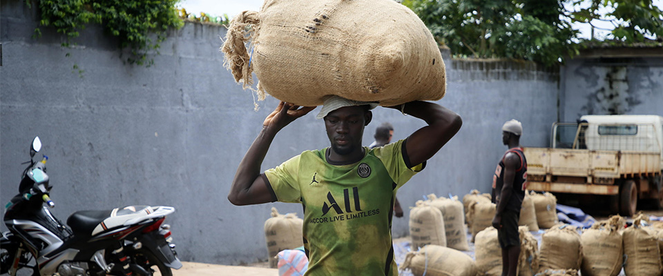 In Italia corsi per contadini africani: l'iniziativa della Coldiretti