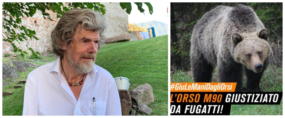 messner orsi