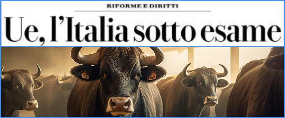 repubblica commissione