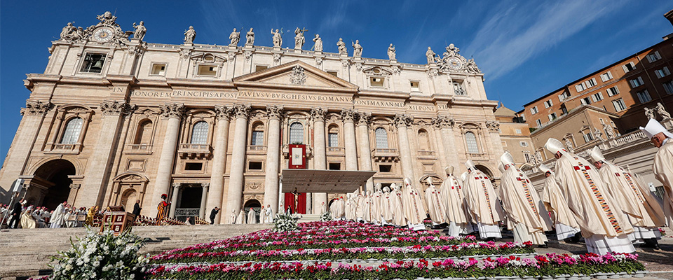 Pasqua “olandese” a piazza San Pietro: in arrivo tulipani, giacinti e narcisi. Dona anche “il contadino cerca moglie”