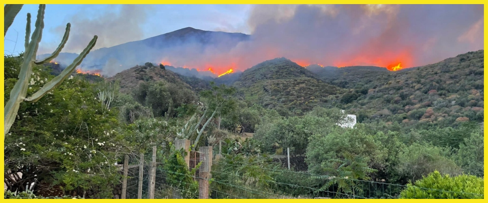 Stromboli