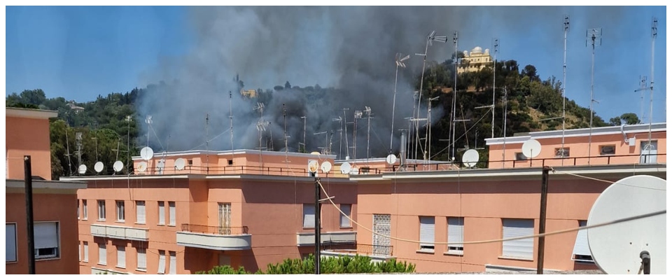 Incendio brucia 