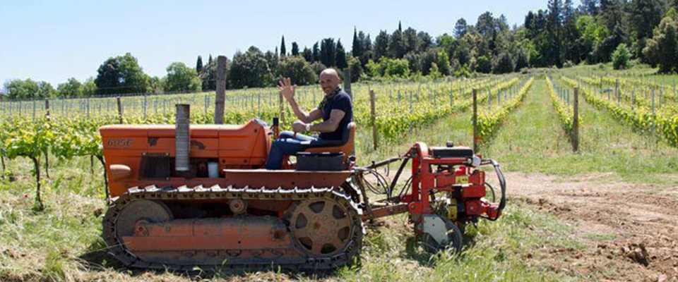 Dalla Regione Toscana pioggia di soldi all’azienda dello Spalletti “green”: «Fare il vino è come allenare…»
