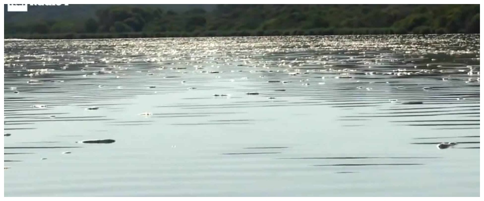 Laguna di Orbetello