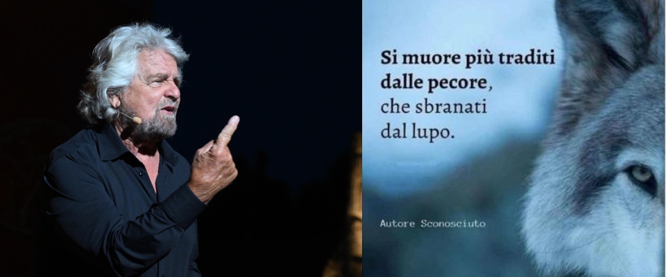 Grillo: “Si muore più traditi dalle pecore che sbranati dai lupi”. Dopo il tonfo in Liguria Conte è avvisato