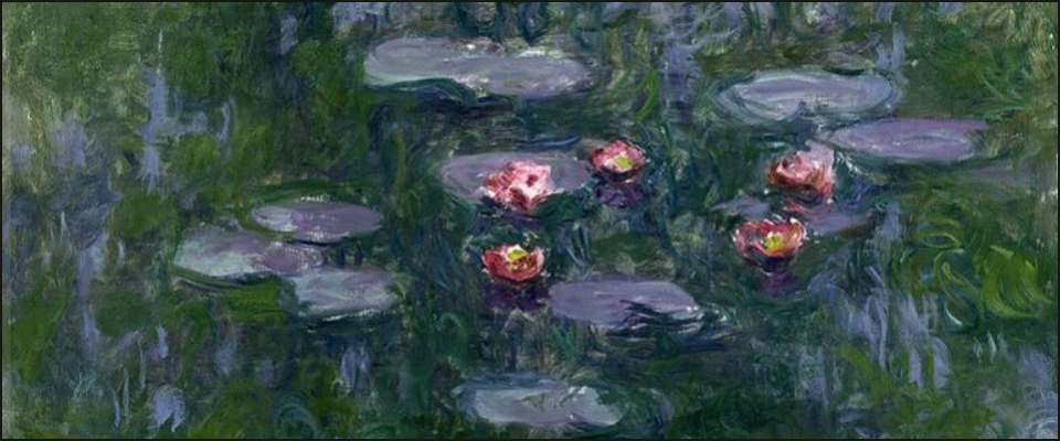 Ninfee Monet