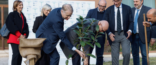 Albero legalità