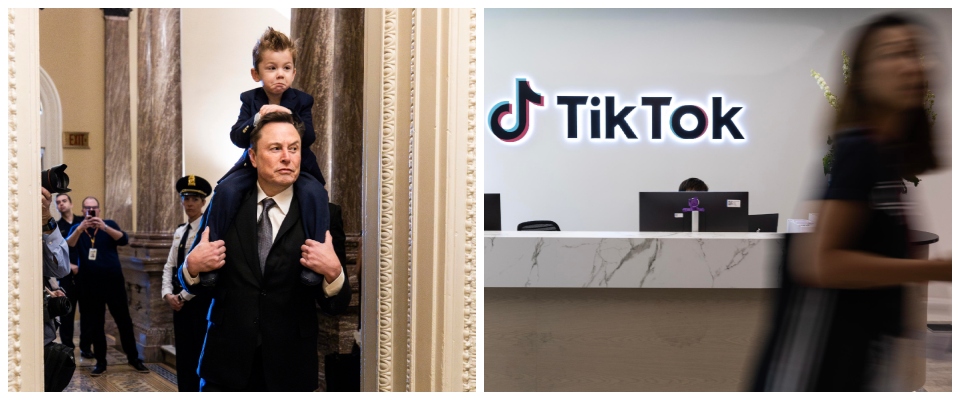 Musk TikTok