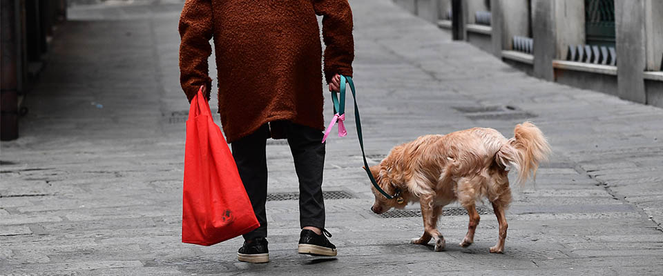 Bonus per gli animali domestici anche nel 2025: come chiederlo, chi può averlo, a quanto ammonta