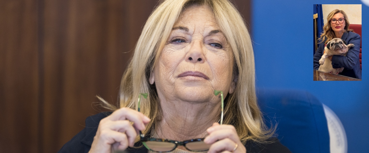 Cani in Parlamento, Rita Dalla Chiesa in prima linea: basta voltare lo sguardo. Cominciamo dai canili lager