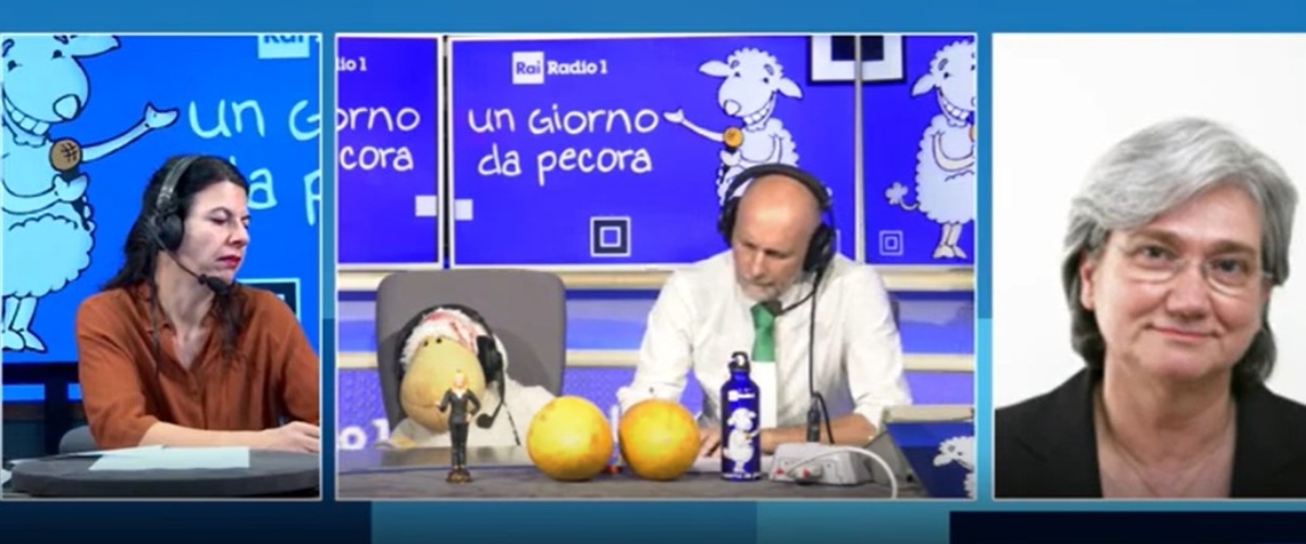 “Ho scoperto di avere azioni Tesla”, Rosy Bindi alle comiche finali: “Le ho vendute subito” (video)